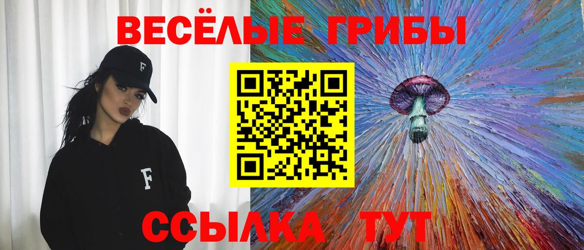 Псилоцибиновые грибы Psilocybe Дивногорск